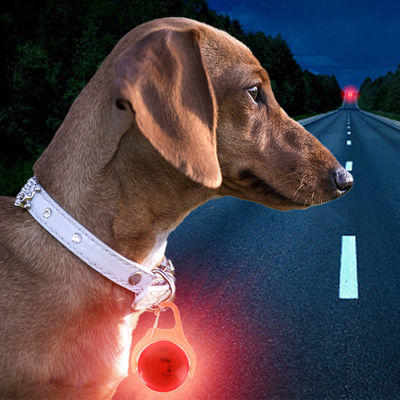 কেনা সাদা নীল সবুজ সিলিকন ফ্ল্যাশিং কুকুরের কলার ট্যাগ ফুলের কুকুরের পরিচয় ট্যাগ অনলাইনে উৎপাদন