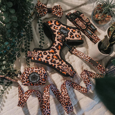 কেনা পোষা প্রাণী কুকুরের হার্নেস লেইস এবং কলার সেট কোন টান Neoprene জাল নরম কুকুরের জ্যাকেট জন্য পোষা হাঁটা এবং চলমান অনলাইনে উৎপাদন