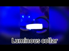 120 সেমি LED কুকুর লেশ রিচার্জযোগ্য ইউএসবি আলোকিত কুকুর লেশ ব্যক্তিগতকৃত