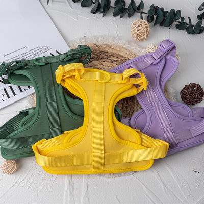 নিয়ামক ফিট S / M / L এর জন্য নিওপ্রেনে ব্যক্তিগতকৃত পোষা কুকুরের হারনেস লেইস এবং কলার সেট