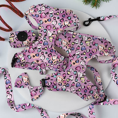 স্বতন্ত্র কাস্টম লোগো লেইস এবং OEM / ODM গ্রহণযোগ্য সঙ্গে নিয়মিত বিলাসবহুল Neoprene জাল নরম পোষা কুকুর হারনেস সেট