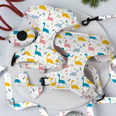 বিপরীতমুখী ছোট কুকুর হার্নেস এবং লেশ সেট বিলাসবহুল ফ্যাশন কুকুর হাঁটা সেট